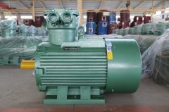 氣體防爆電機(jī)ExdIIBT4Gb的是什么意思？
